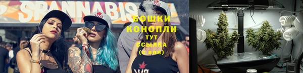 амф Пересвет