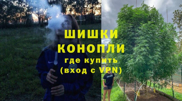 амф Пересвет