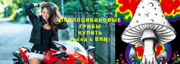 мескалин Пестово