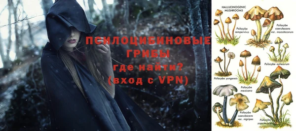 мдпв Переславль-Залесский