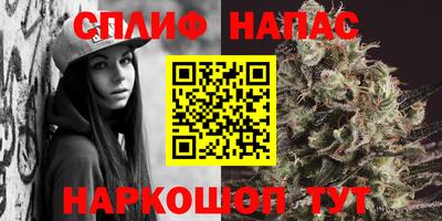 стафф Абакан