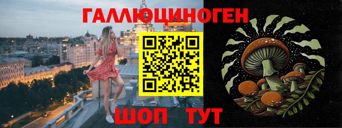 Псилоцибиновые грибы GOLDEN TEACHER Абинск